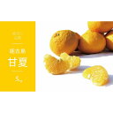 【ふるさと納税】<先行受付:2026年4月以降発送>福岡県 能古島産 甘夏5kg | フルーツ 柑橘 かんきつ みかん ミカン 蜜柑 あまなつ 食品 おすすめ ...