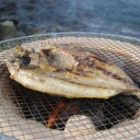 【ふるさと納税】振り塩仕立て 真アジ開き10枚セット ★長浜市場で水揚げ★ | 福岡県 福岡市 福岡 九州 返礼品 支援 お取り寄せグルメ 取り寄せ グルメ 食...
