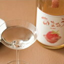 【ふるさと納税】【熟成酒】まるごとジューシー博多あまおうクラフトSAKE2本セット