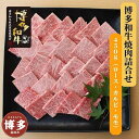 【ふるさと納税】博多和牛 焼肉詰合せ(450g)