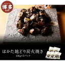 【ふるさと納税】はかた地どり 炭火焼きセット【FS】 | 福岡県 福岡市 焼き鳥 やきとり 冷凍 お取り寄せグルメ 福岡 お土産 焼鳥 博多 九州 ギフト 肉 ...