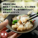 【ふるさと納税】博多水炊き風もつ鍋 2〜3人前
