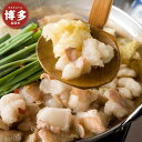 【ふるさと納税】博多中洲遊食亭名物国産牛もつ鍋4〜6人前(醤油味) | 肉 お肉 にく 食品 福岡県産 人気 おすすめ 送料無料 ギフト
