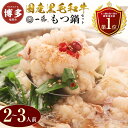 【ふるさと納税】国産 黒毛和牛 もつ鍋 醤油味 2~3人前 一藤 | ふるさと納税 モツ鍋 もつなべ 鍋 福岡市 冷凍 冷凍食品 取り寄せ もつ セット ホルモ...