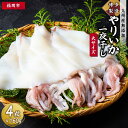 【ふるさと納税】博多製造 九州産無添加やりいか一夜干し(大サイズ・160g×4) | 緊急支援