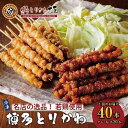 【ふるさと納税】博多とりかわ大臣の「博多とりかわ(R)」(冷凍40本入り) | 福岡県 福岡 福岡市 楽天ふるさと 納税 お取り寄せグルメ とり皮 博多 焼き鳥...