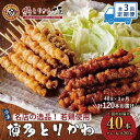 【ふるさと納税】【定期便全3回】博多とりかわ大臣の「博多とりかわ(R)」(冷凍40本入り) | 福岡県 福岡 福岡市 お取り寄せグルメ とり皮 博多 焼き鳥 冷...