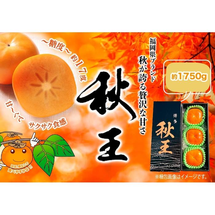 【ふるさと納税】秋王 約1750g | フルーツ 果物 くだもの 食品 人気 おすすめ 送料無料