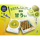 【ふるさと納税】<2026年発送分・先行予約>博多「甘うい」の贅沢果実 約3.6kg | フルーツ 果物 くだもの 食品 人気 おすすめ 送料無料