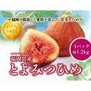 【ふるさと納税】とよみつひめ 4パック約1200gセット | フルーツ 果物 くだもの 食品 人気 おすすめ 送料無料