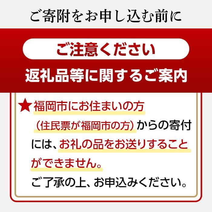 【ふるさと納税】【アビスパ福岡】＜サイズ選択＞2025シーズン 選手直筆サイン入りオーセンティックユニフォーム