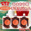 【ふるさと納税】いちごジャム 無添加 あまおうとオリゴ糖のジャム 200g×3袋 手作り 国産 チューブ パウチ入り | 食品 加工食品 人気 おすすめ 送料無...