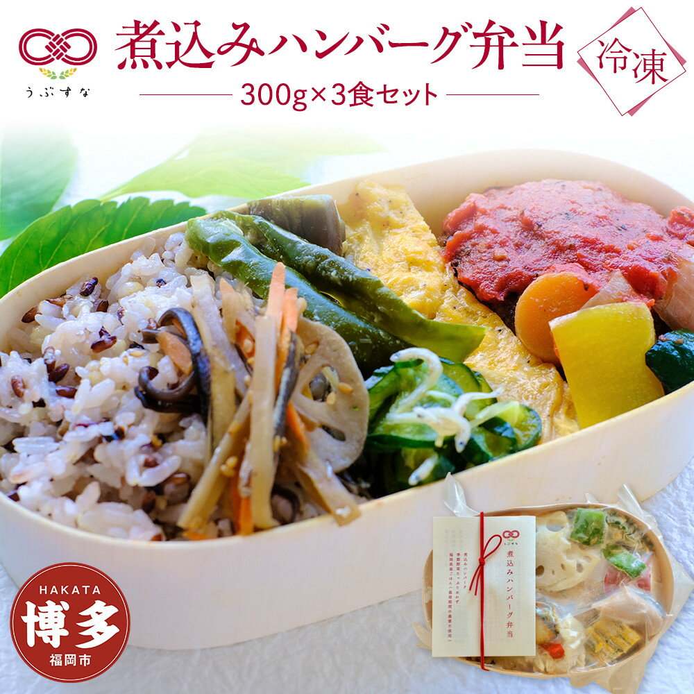 【ふるさと納税】【冷凍】煮込みハンバーグ弁当3食セット　無添加　無農薬米　有機・特別栽培野菜　九..