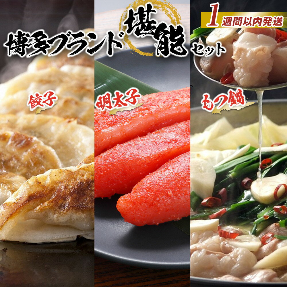 【ふるさと納税】【1週間以内発送】餃子 明太子 博多 もつ鍋 2.5人前 辛子明太子 450g 黒豚餃子 75個 セット | 冷凍餃子 焼き餃子 めんたいこ 牛...