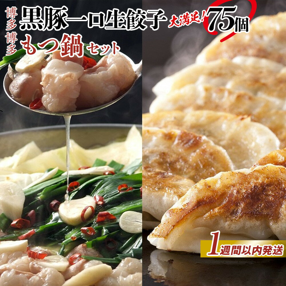 【ふるさと納税】【1週間以内発送】餃子 もつ鍋 博多ブランドセット 博多黒豚一口生餃子75個(25個×3パック)と博多もつ鍋2.5人前セット | 冷凍餃子 生餃...
