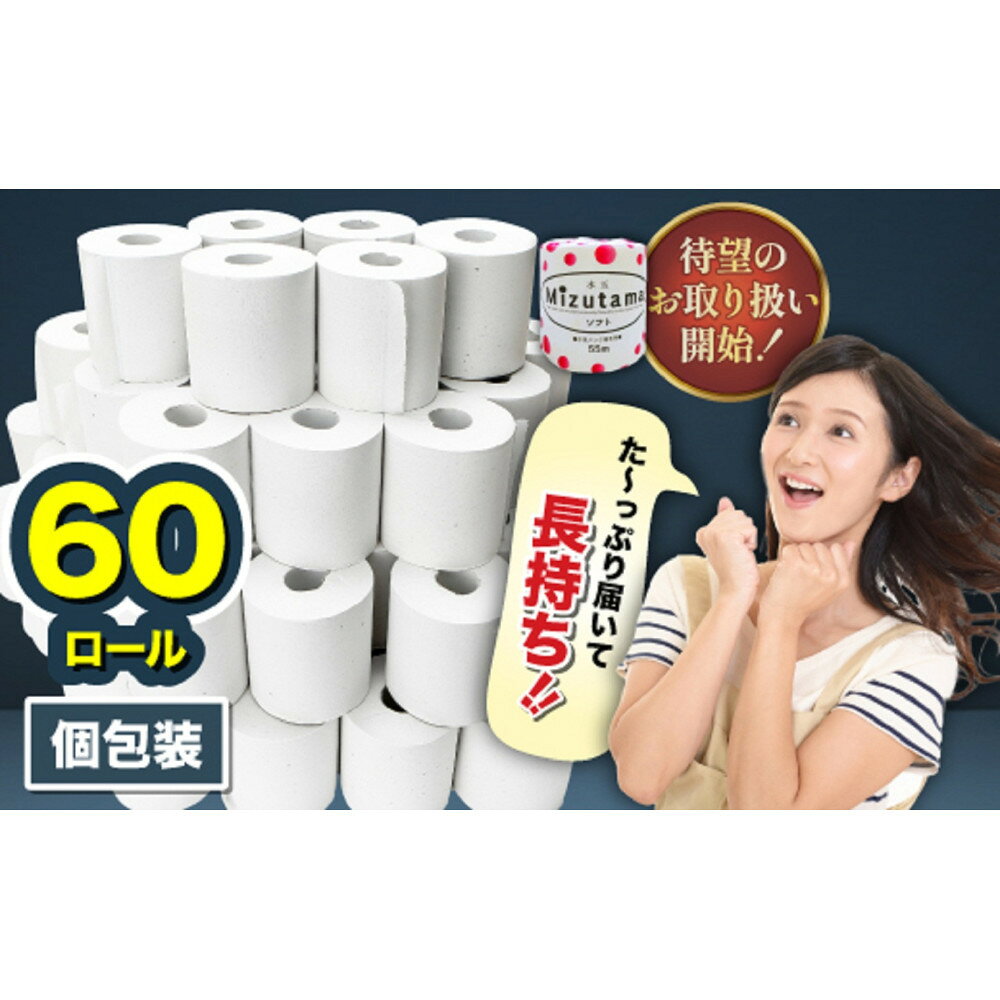 トイレットペーパー 水玉 55m×60個[福岡市]