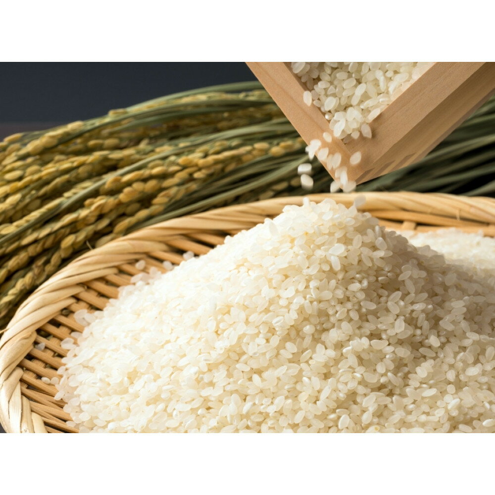 ڤդ뤵ǼǡʡΤơ֤ᤷݡĤ5kg1ޡ7ǯ