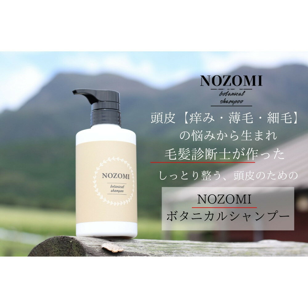 【ふるさと納税】【福岡市内製造】NOZOMIボタニカルシャンプー　400ml