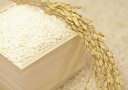 【ふるさと納税】お米(福岡県産ひのひかり)(10キロ)(平成29年産)