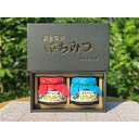 【ふるさと納税】坂井養蜂場 昔ながらの蜂蜜 550g 2本組【1089941】