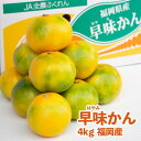 【ふるさと納税】福岡オリジナルブランド 蜜柑 早味かん約4kg(大牟田市)【配送不可地域:離島】【1217262】