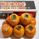 【ふるさと納税】福岡オリジナルブランド 甘柿 秋王(あきおう) 約1.5kg箱(大牟田市)【配送不可地域:離島】【1217263】
