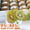 【ふるさと納税】福岡オリジナルブランド キウイ「甘うぃ」約3kg箱(24-33玉)(大牟田市)【配送不可地域:離島】【1217267】