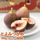 【ふるさと納税】福岡ブランドいちじく「とよみつひめ」 約300g×4パック(大牟田市)【配送不可地域:離島・北海道・沖縄県・東北】【1217273】