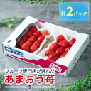 【ふるさと納税】【11月下旬より順次発送】酸味と甘みの絶妙なバランス・冬あまおう2パック(大牟田市)【配送不可地域:離島・北海道・沖縄県】【1226658】