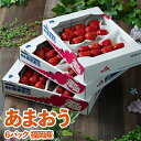 【ふるさと納税】【11月下旬より順次発送】酸味と甘みの絶妙なバランス・冬あまおう6パック(大牟田市)【配送不可地域:離島・北海道・沖縄県】【1226662】