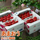 【ふるさと納税】【11月下旬より順次発送】酸味と甘みの絶妙なバランス・冬あまおう8パック(大牟田市)【配送不可地域:離島・北海道・沖縄県】【1226664】