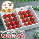 【ふるさと納税】【11月下旬より順次発送】苺本来の酸味と甘み!贈答用あまおう 24-30粒(大牟田市)【配送不可地域:離島・北海道・沖縄県】【1226680】