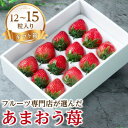 【ふるさと納税】【11月下旬より順次発送】苺本来の酸味と甘み!贈答用あまおう 12-15粒(大牟田市)【配送不可地域:離島・北海道・沖縄県】【1226681】