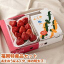 【ふるさと納税】【11月下旬より順次発送】福岡産あまおう&ふくや味の明太子200g(大牟田市)【配送不可地域:離島・北海道・沖縄県】【1226685】