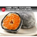 【ふるさと納税】くろころみかん(5個入)【配送不可地域:離島】【1284482】