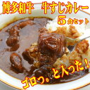 【ふるさと納税】博多和牛 牛すじカレー5食セット じっくり煮込んだバリうま!ゴロッと入ったコラーゲン♪(大牟田市)【1462615】