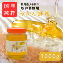 【ふるさと納税】みつばちの雫 国産みかん蜂蜜 1000g【1481074】
