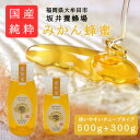 【ふるさと納税】みつばちの雫 国産みかん蜂蜜 500g+300g【1481075】