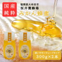 【ふるさと納税】みつばちの雫 国産みかん蜂蜜 300g×2【1481076】
