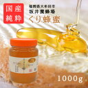 【ふるさと納税】みつばちの雫 国産くり蜂蜜 1000g【1481078】