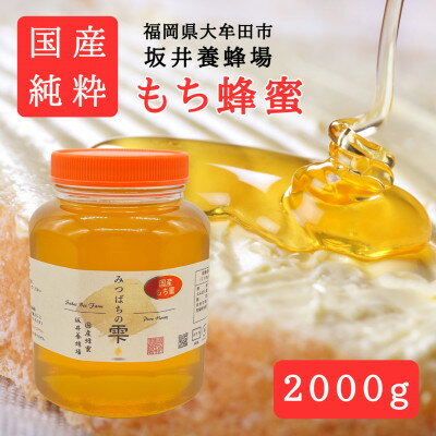 【ふるさと納税】みつばちの雫 国産もち蜂蜜 2000g【1481084】