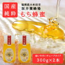 【ふるさと納税】みつばちの雫 国産もち蜂蜜 300g×2 【1481090】