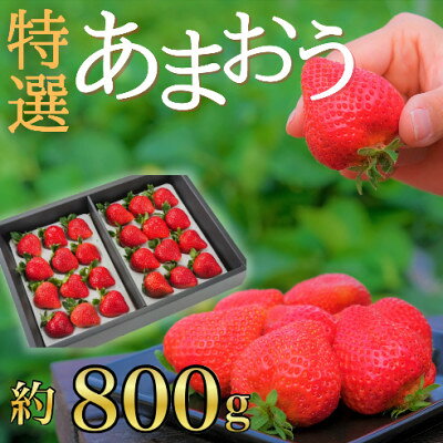 うるう農園の贈答用あまおう 約800g(大牟田市)【配送不可地域：離島・北海道・沖縄県】【1528868】