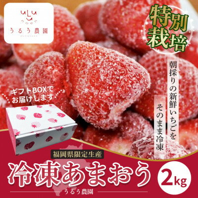 【ふるさと納税】うるう農園の冷凍あまおう2kg(大牟田市)【配送不可地域：離島】【1528891】のサムネイル