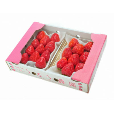 【ふるさと納税】うるう農園のあまおうDX等級 2パック(570g)(大牟田市)【配送不可地域：離島・北海道・沖縄県】【1528896】のサムネイル