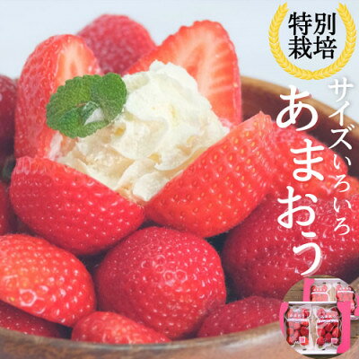 うるう農園のあまおうM〜Gサイズ 4パック (約1140g)(大牟田市)【配送不可地域：離島・北海道・沖縄県】【1529203】