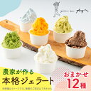 【ふるさと納税】福岡県産 農家が作る本格ジェラート 12種類おまかせセレクション【配送不可地域:離島】【1543307】