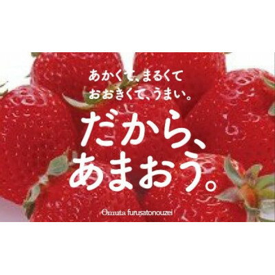 【ふるさと納税】【期間限定】あまおうDX(デラックス)4パック(大牟田市)【配送不可地域:離島・北海道・沖縄県・東北】【1550974】
