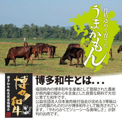 【ふるさと納税】博多和牛直火焼きローストビーフ約500g(約250g×2本)(大牟田市)【配送不可地域：離島】【1551841】 f402028-omuta-10001088 福岡県大牟田市 サンプル画像3