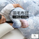 【ふるさと納税】大牟田市生産 羽毛掛け布団 色・柄おまかせ シングルロング 羽毛量1.0kg【1553821】